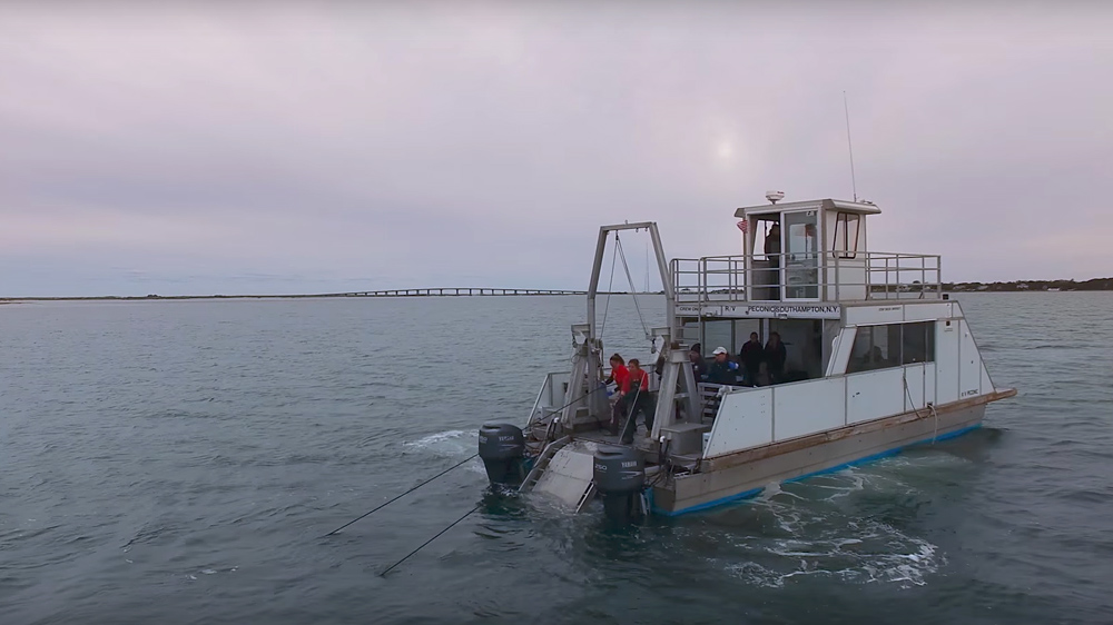 FAR BEYOND the classroom, Defiant in the face of the status quo.