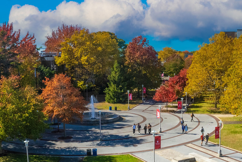 overview shot of main campus mall