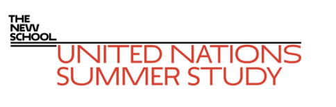 UN Summer Study UN Summer Study logo